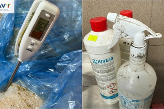 Mėsos perdirbimo įmonėje – šiurkštūs pažeidimai: ant grindų – negyvi vabzdžiai, pelėsis