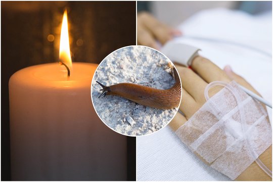 Draugų iššūkį priėmęs 19-metis suvalgė šliužą: paaugliška išdaiga baigėsi kraupiai