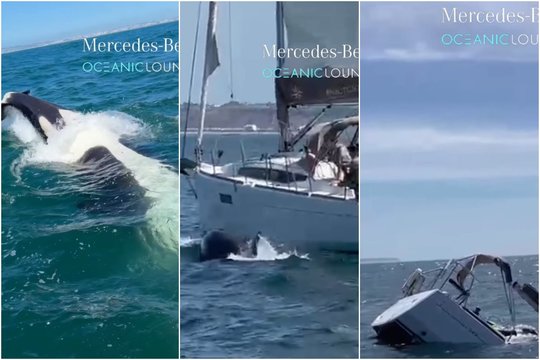 Orkos toliau puola laivus: prie Portugalijos krantų paskandino turistinę jachtą 