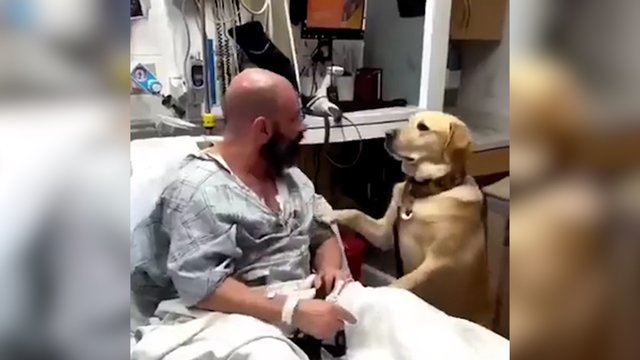 Ir laimėje, ir bėdoje: už širdies griebiantis šuns atsidavimas 