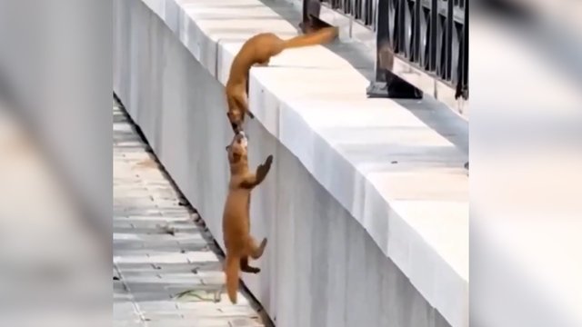 Pasirinko skausmingą pagalbos būdą: kai dėtis nėra kur, tenka kentėti