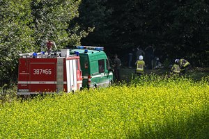 Lenkijoje aptiktos 18-ojo Rusijos drono nuolaužos