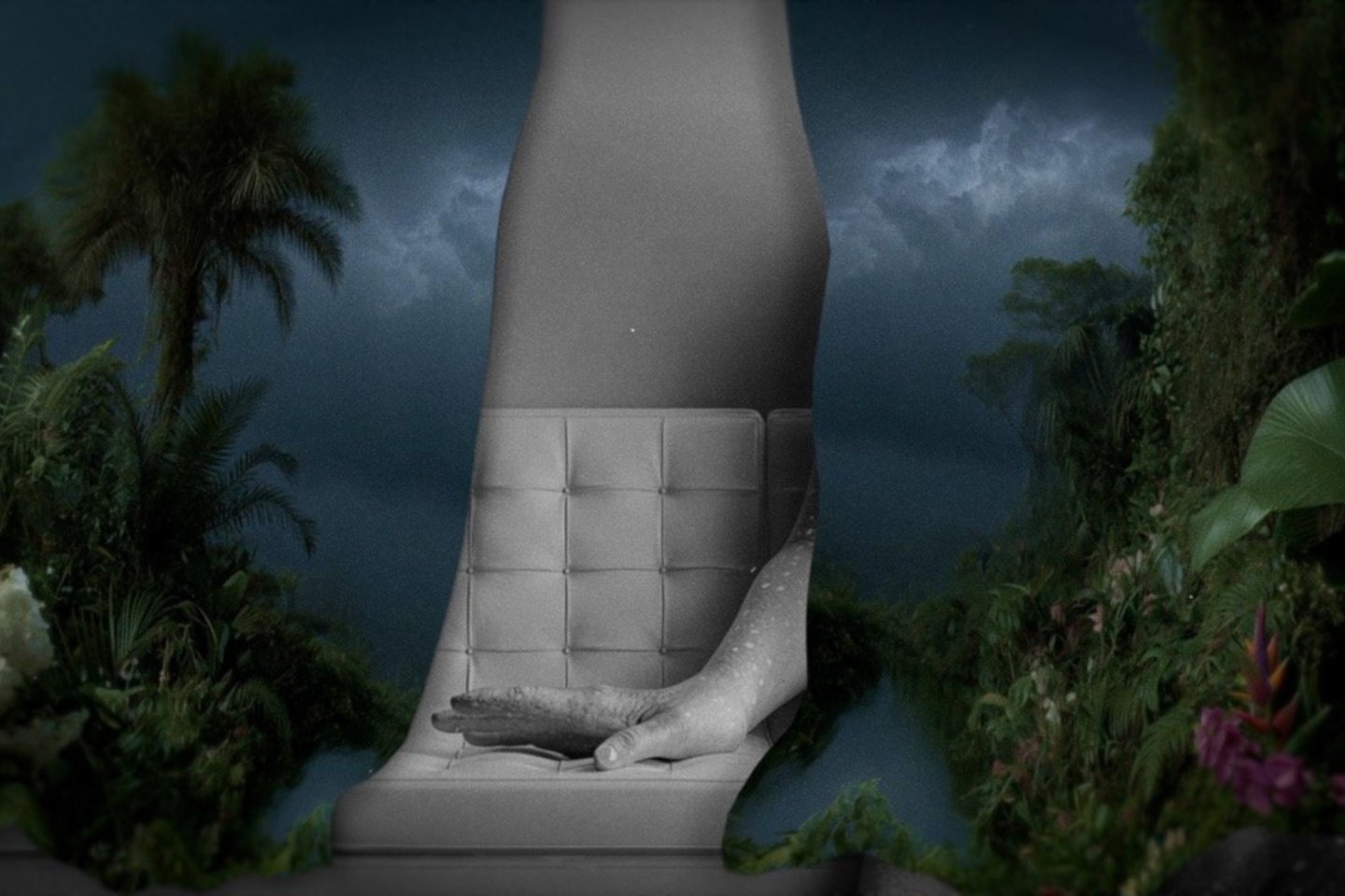 A.Gintalaitės videografijos sustabdytas kadras.