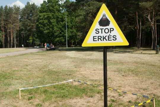 Sergamumas erkiniu encefalitu Lietuvoje – vienas didžiausių Europoje