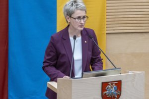 Po N. Grunskienės kreipimosi į Seimą T. Martinaitis ir E. Sabutis sutiko naikinti teisinį imunitetą supaprastinta tvarka