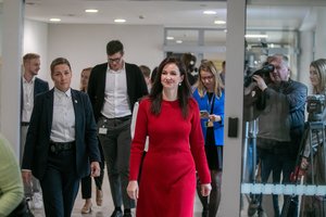 Prieš lemtingą susitikimą pas G. Nausėdą – tamsoje ir pati I. Ruginienė