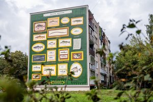 Daugiabučio sieną Kaune papuošė unikalus piešinys