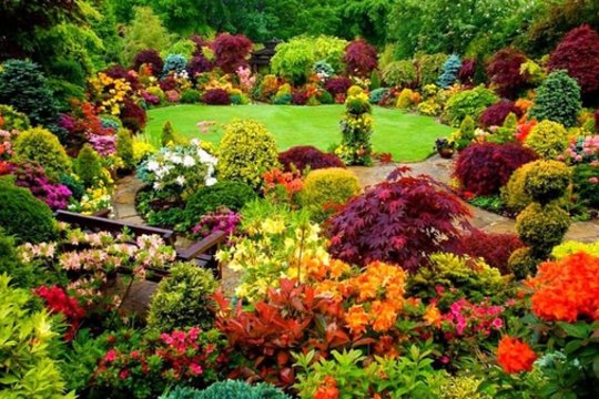 Ruduo nebūtinai pilkas: 5 dalykai, kurie leis sode džiaugtis spalvomis iki pat šalnų