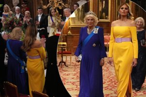 Sutapimas ar kruopščiai suplanuotas žingsnis? Pasaulis stebisi M. Trump ir karalienės Camillos suknelių pasirinkimu