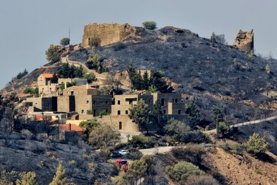 Tragiški metai Europai: dėl miškų gaisrų į atmosferą pateko rekordinis CO2 kiekis 