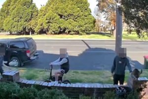 Kameros užfiksavo, kaip 3 paaugliai iš kiemo pagrobė katę: policija pradėjo tyrimą, bet įtariamieji tyli