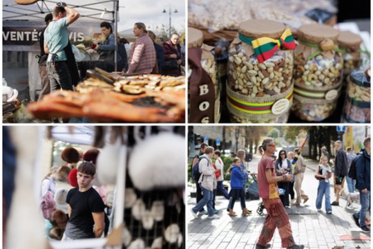 Tautų mugė sostinėje sutraukė minias žmonių: pamatykite iš arti