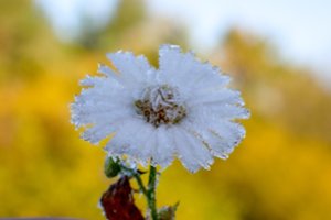 Savaitės orų prognozė: po vasariškos šilumos – kardinalios permainos ir šalnos