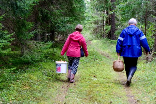 Ruduo – erkių puotos laikas: 6 taisyklės, kurios padės apsisaugoti