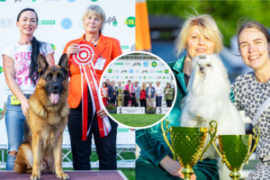 Palangoje – didžiojo pudelio, vokiečių aviganio ir Lasos apso triumfas