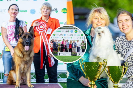 Palangoje – didžiojo pudelio, vokiečių aviganio ir Lasos apso triumfas