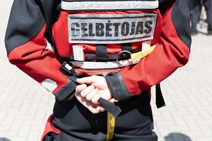 Į miesto spąstus Klaipėdoje patekusį laukinį gyvūną atskubėję ugniagesiai rado nepavydėtinoje padėtyje