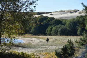Vieną parą į Neringą įvažiavimas bus nemokamas