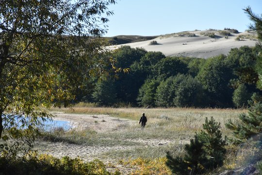 Vieną parą į Neringą įvažiavimas bus nemokamas