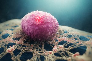 Atrado vitaminą, kuris saugo nuo Lietuvoje dažno vėžio: kasmet suserga apie 2 tūkst. žmonių