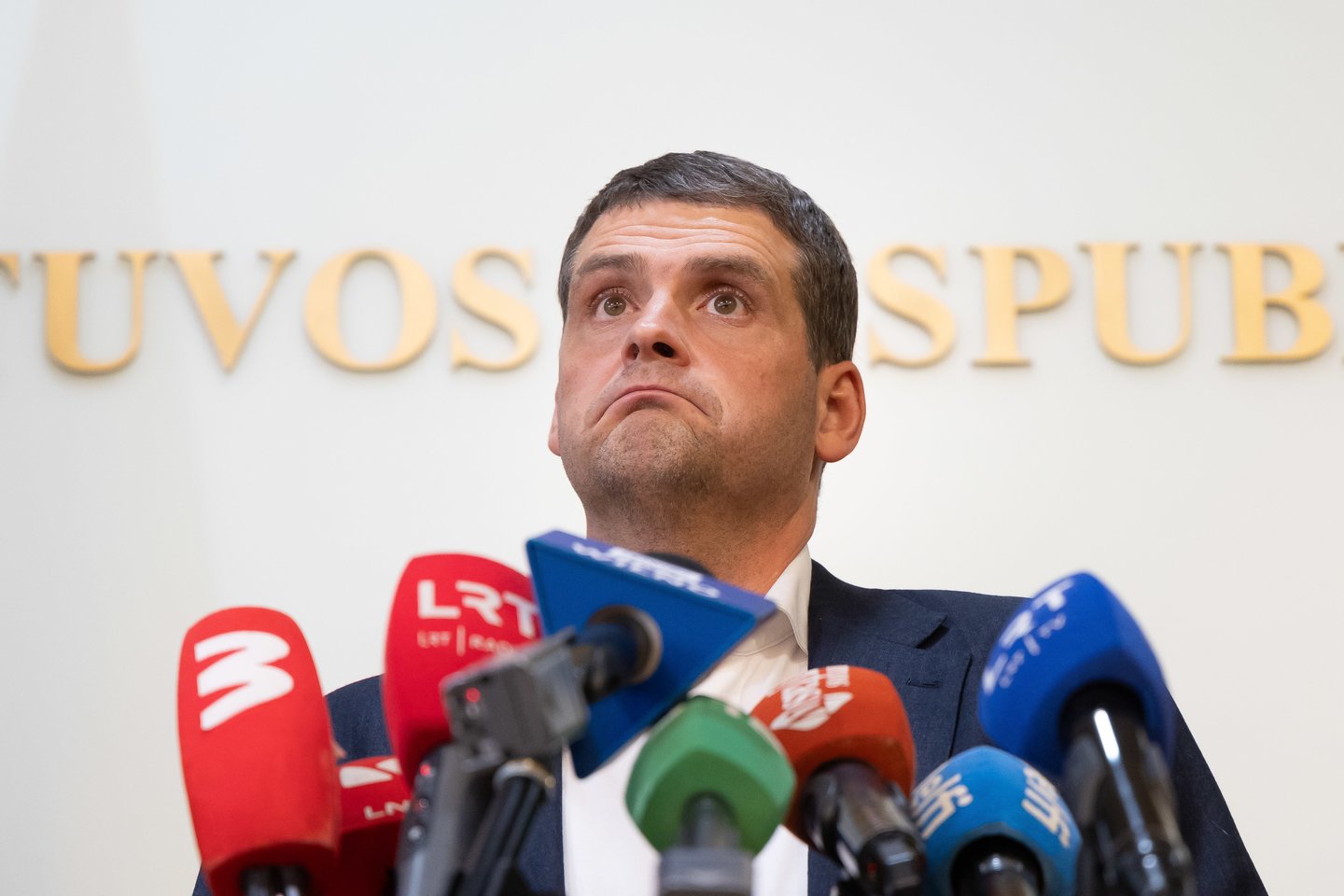 Remigijus Žemaitaitis.<br>D. Labučio (ELTA) nuotr.