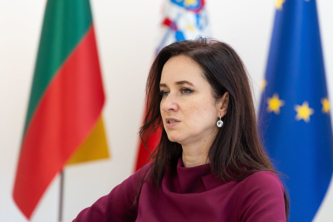 I. Ruginienė ramina aistras dėl braziliškų orlaivių: sprendimo – nėra, dėl lėšų D. Šakalienė paskubėjo