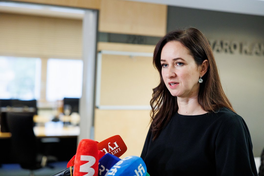 I. Ruginienė pirmą kartą pakomentavo „aušriečių“ pateiktus kandidatus į ministrus