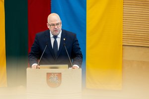 G. Nausėdos patarėjas: prezidentas neturi priekaištų N. Grunskienės veiklai