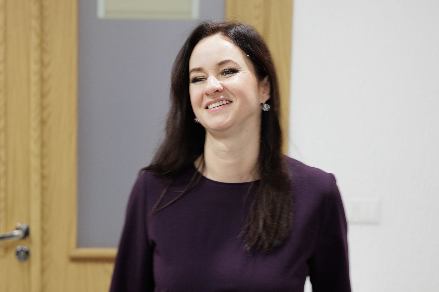 I.Ruginienės ir demokratų susitikimas.<br>V.Skaraičio nuotr.