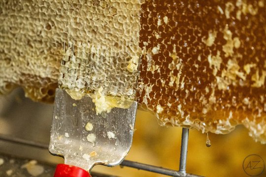 Įspėja bitininkus: liko vos savaitė pateikti paraišką paramai