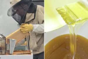 Sužinoję apie trūkumą, gyventojai suskubo apsirūpinti iš anksto: dalis bitininkų medų išparduos iki Naujųjų