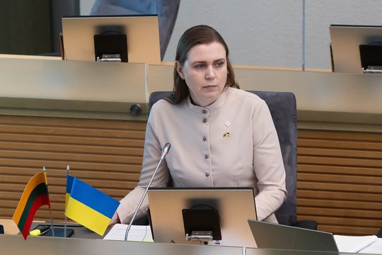 D. Šakalienė dėl braziliškų orlaivių pirkimo: sutarties dar nepasirašėme