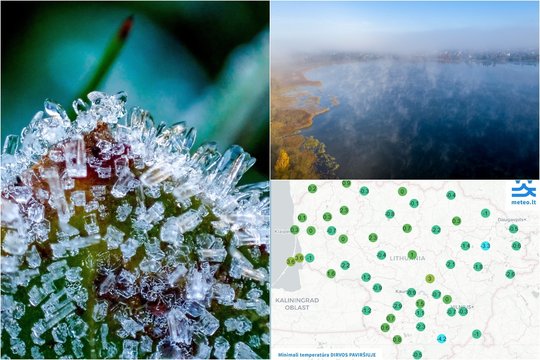 Praėjusią naktį fiksuotos šalnos: štai kur buvo stipriausios