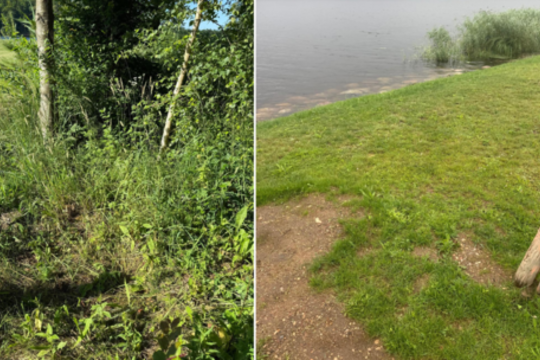 Gyventojai pakraupę – pelkėtą ir krūmais apžėlusią teritoriją savivaldybė įteisino kaip užbaigtą kelią