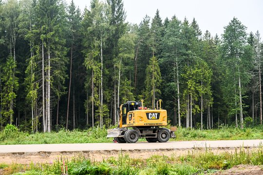 Netikėta poligonų pusė: kaip karinės teritorijos tampa gamtos prieglobsčiu?