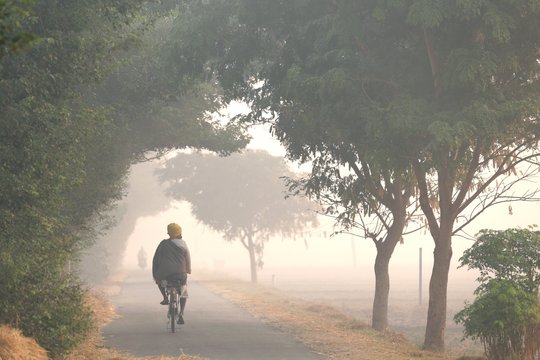 Nuodingiausios pasaulio gyvatės taps dar pavojingesnės: grėsmė kyla milijonams žmonių