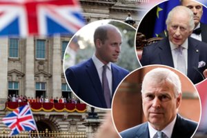 Negandos ir toliau temdo Jungtinės Karalystės karališką šeimą: aiškėja melas