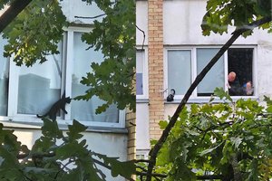 Kaunietė praneša apie pavojingomis sąlygomis laikomą gyvūną: įsikišo policija