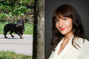 Atsako teisininkė: kam atitenka augintinis nutraukiant santuoką?