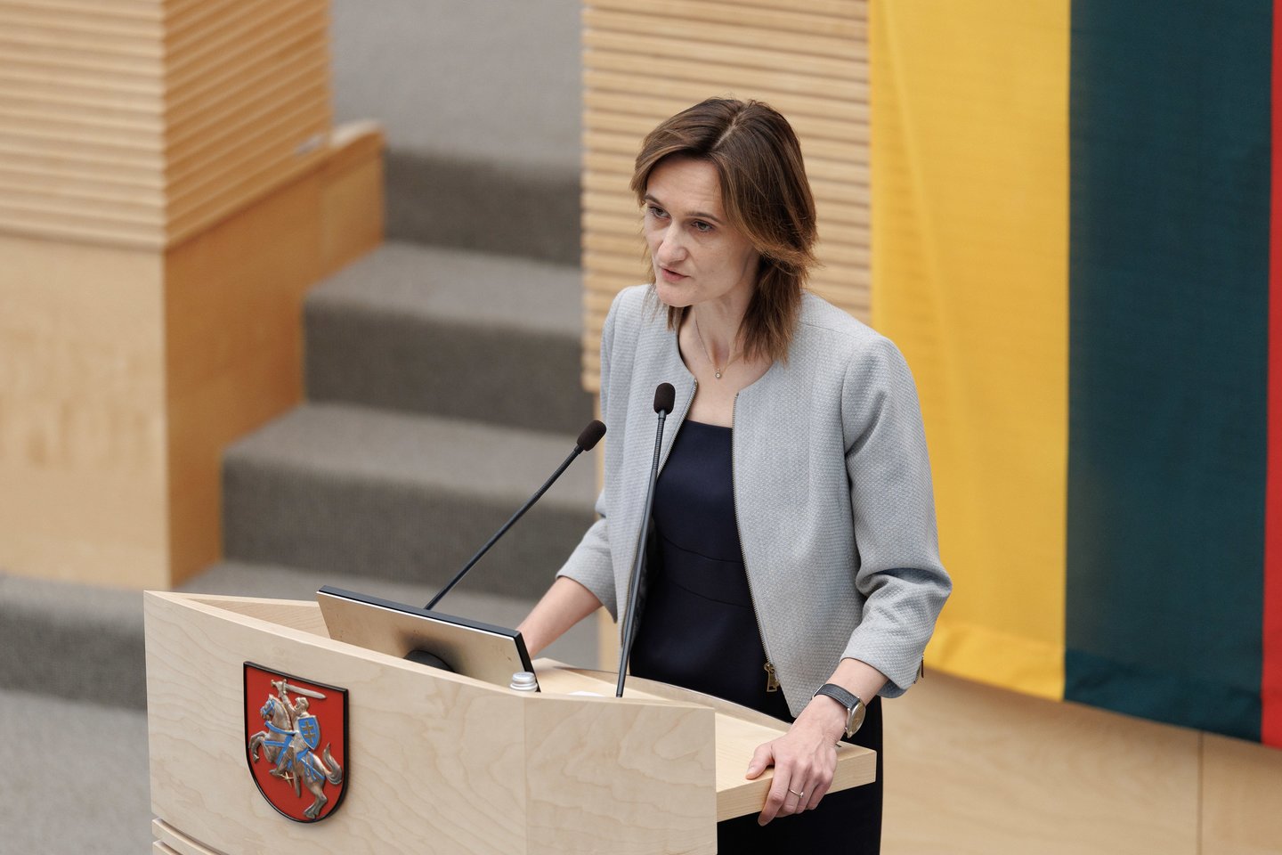 Vyriausybės programos tvirtinimas.<br>V.Skaraičio nuotr.