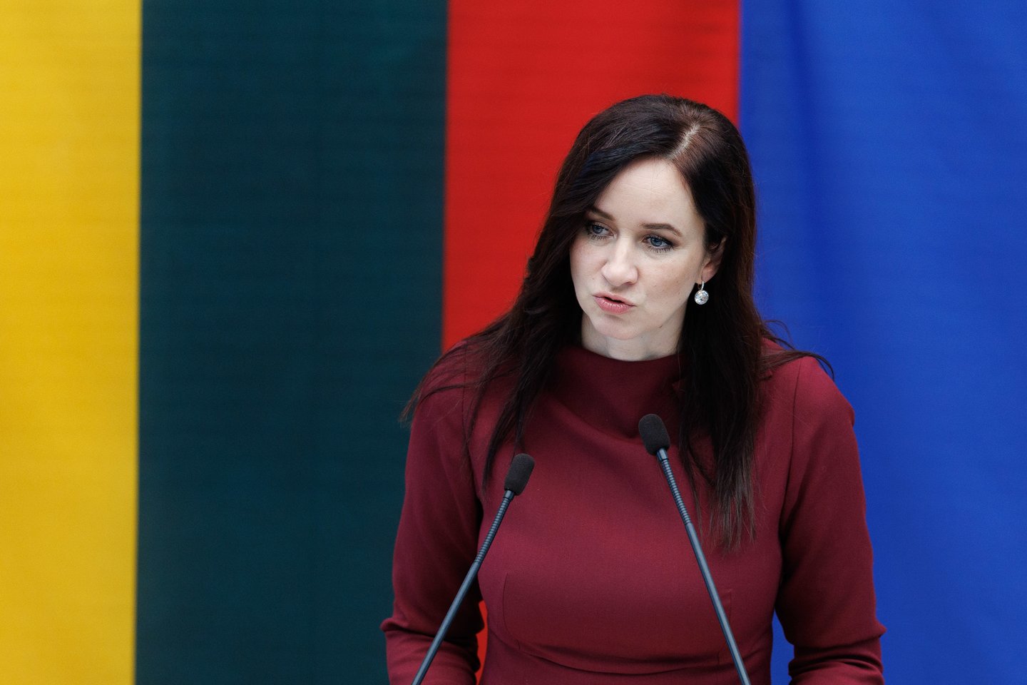 Vyriausybės programos tvirtinimas.<br>V.Skaraičio nuotr.