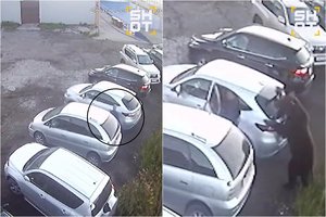 Kraupus meškos išpuolis Rusijoje: sudraskė moterį, sužalojo vaiką, dar vienas vyras išsisuko per plauką