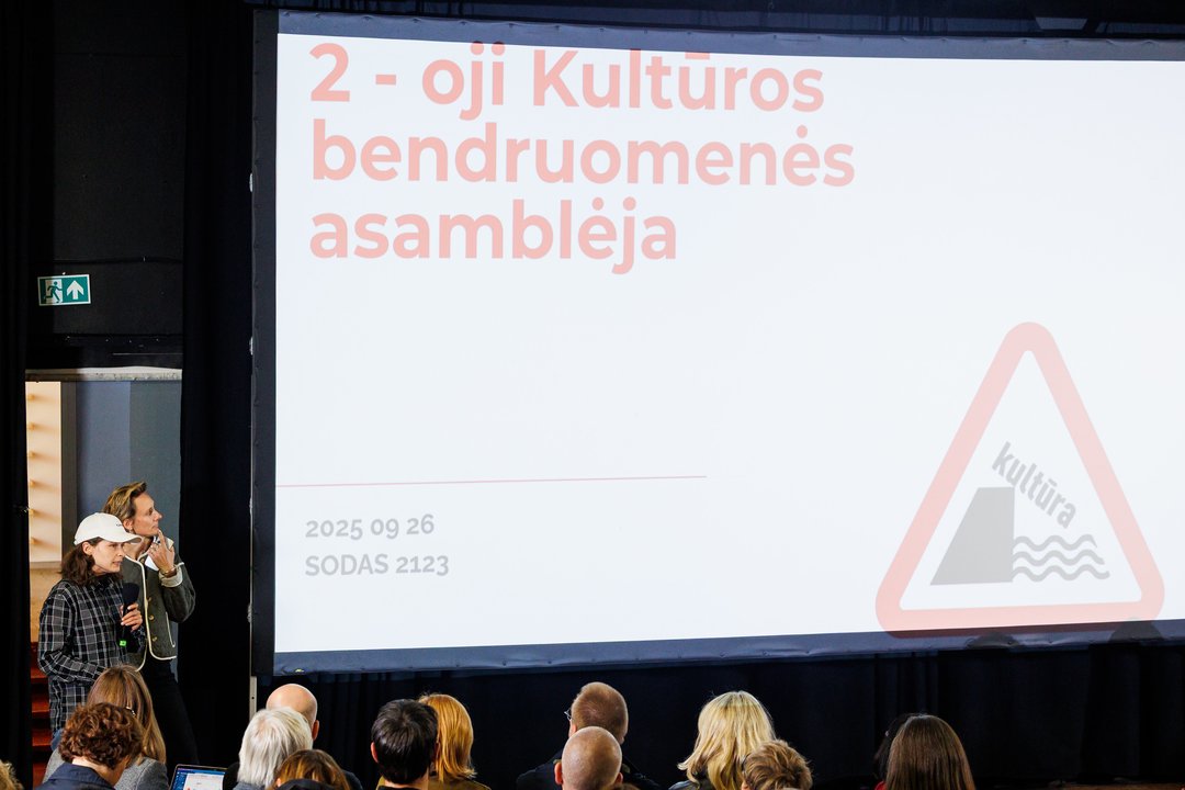 2-oji kultūros bendruomenės asamblėja.<br> T. Bauro nuotr.