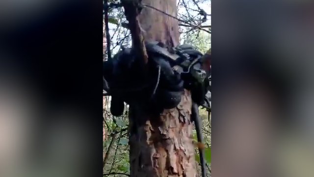 Zarasų rajone – neįprastas gamtos reginys: vaizdas priverčia sustingti