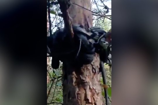 Zarasų rajone – neįprastas gamtos reginys: vaizdas priverčia sustingti