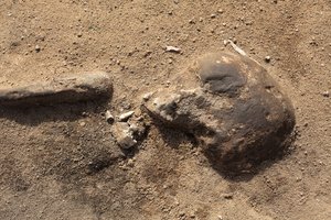 Šiurpus radinys Pasvalio rajone: kasdamas pamatus, sodybos šeimininkas išvydo žmogaus kaulus