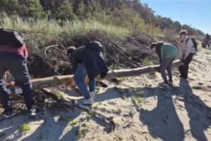 Audros, šimtatūkstantinės lankytojų minios ir klimato kaita – kaip išsaugoti Olando Kepurę?