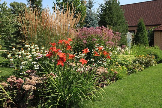 Gudriausi sodininkai žino, kodėl daugiametes geriau sodinti rudenį, o ne pavasarį