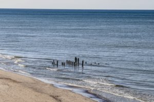 „Žinovų klubo“ testas. Kaip gerai pažįstate Baltijos jūrą?