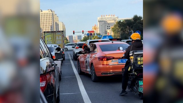 Keturkojų pykčio aistros viduryje gatvės: pamatykite, kaip tai atrodė iš šono